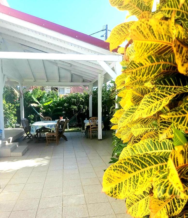 Studio Grande Anse Terre-De-Haut Exterior foto